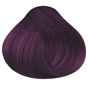 SHAMPOO CHAO  CANAS +TRATMIENTO