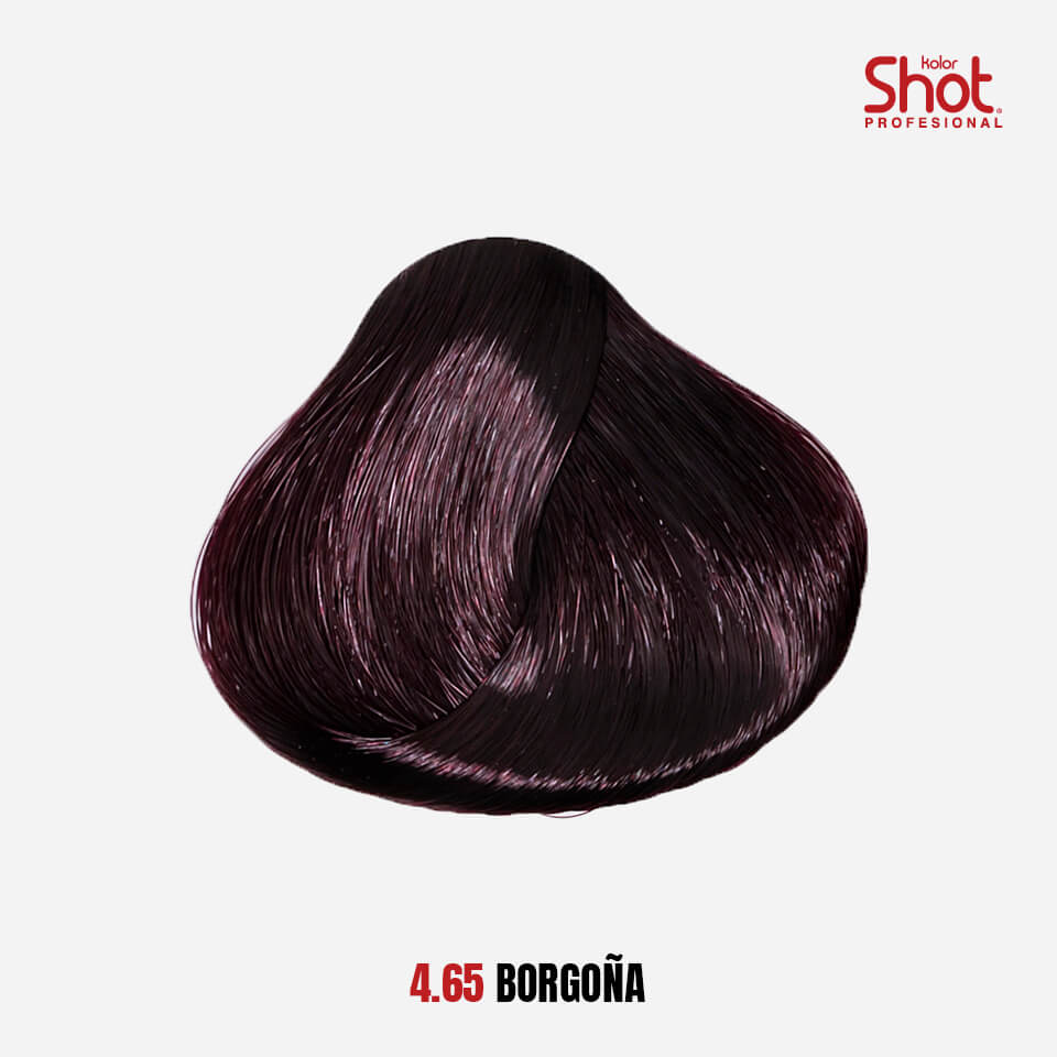 SHAMPOO CHAO  CANAS +TRATMIENTO