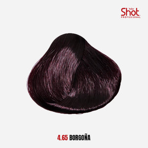 SHAMPOO CHAO  CANAS +TRATMIENTO