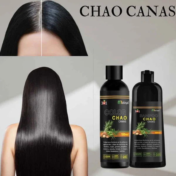 SHAMPOO CHAO  CANAS +TRATMIENTO