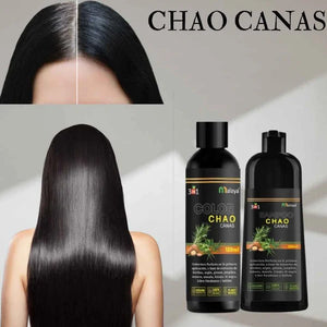 SHAMPOO CHAO  CANAS +TRATMIENTO