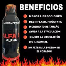ALFA X – Potencia Masculina y Vitalidad Natural